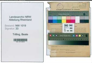 Entnazifizierung Beate Trilling , geb. 10.04.1893 (Lehrerin)