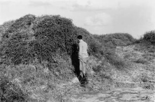 Mann : Mann in einer Landschaft