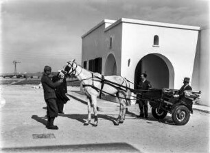 Pferdewagen : Männer um einen Pferdewagen des Arztes von Oliveti