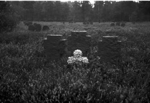 Donsbrüggen: Soldatenfriedhof, Kreuze
