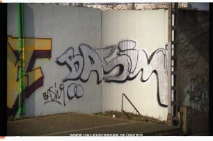 BASiM