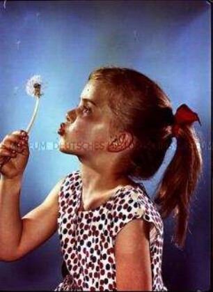 Mädchen mit Pusteblume
