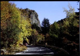Münstertal, Obermünstertal: Scharfenstein Felsen, mit Straße im Herbstlaub, von Westen