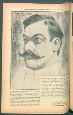 Autobiografías parlamentarias - Dr. Luis Peluffo