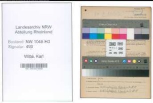 Entnazifizierung Karl Witte , geb. 16.10.1887 (Tanzlehrer)