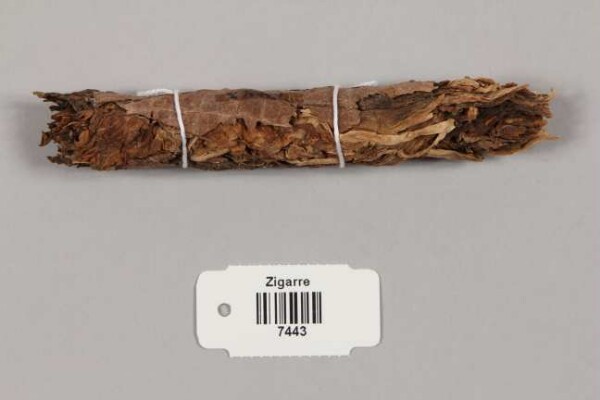 Cigar