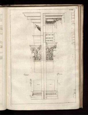Illustration XXXIII: Cataneo Palladio