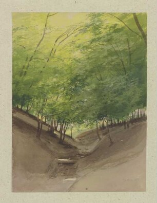 Bachlauf in einem Wald