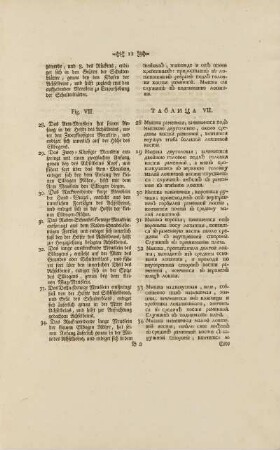 Fig. VII. - ТАбЛИЦА VII.