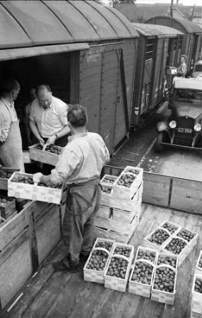 Bühl: Verladen der Zwetschgen in Güterwagen; nahe