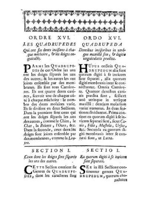 Ordre XVI. Les Quadrupedes qui ont six dents incisives à chaque mâchoire, & les doigts onguiculés. - Ordo XVI. Quadrupeda Dentibus incisoribus in utrâque maxillâ sex,& digitis unguiculatis praedita