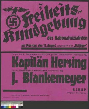 Plakat der NSDAP zu einer öffentlichen Parteikundgebung am 11. August 1931 in Braunschweig