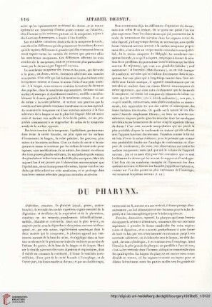 Du Pharynx