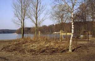 Großensee: Südufer