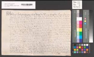 Prinz Friedrich Heinrich von Oranien, Graf zu Nassau und Moers, belehnt Jan Krijns mit dem Rijsweert.