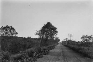 Sandstraße bei Campinas. : Eine sandige Straße von Campinas nach Mochy Mirim mit Masten, Bäumen und Grasland an den Rändern.