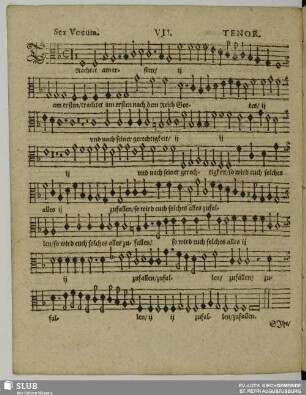 VII. Trachtet am ersten