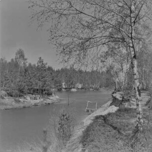 Waldsee Biehain : Blick über den Waldsee Biehain