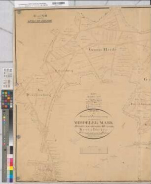 Hülsten (Reken), Teilung der Hülster und Middeler Mark, Brouillonkarte Bl.2 Große Heide