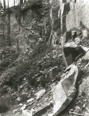 Oberlausitzer Teich- und Heidegebiet. Caminaberg (157 m) nödrlich Commerau-Jetscheba. Aufgelassener Steinbruch im Dubrauquarzit (Ordovizium)