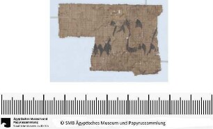 Aramäischer Papyrus, aramäische Version der Behistun‚ Inschrift Dareios’ I., Fragment