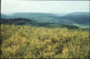 Blick vom Hünersedel