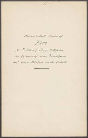 Rupp, Friedrich, Rotgerber Ausbau des Dachstocks