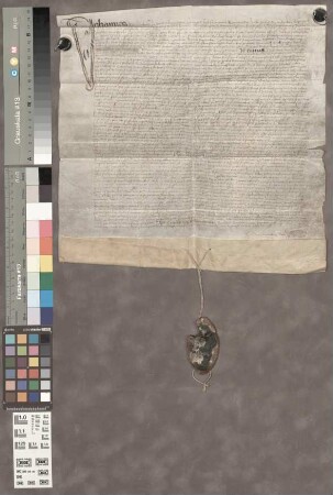 Dolgesheim: Instrumentum super incorporatione Ecclesie Parochiales in Dolgersheim Monasterio Erbacense