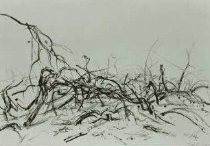 Aus der Folge "Waldlandschaft", Blatt 3