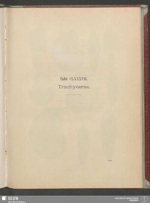 Tafel CLXXXVII. Trachyceras