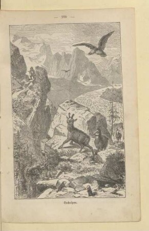 Hochalpen