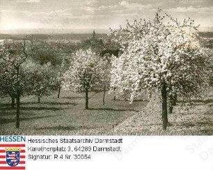 Seeheim an der Bergstraße, Panorama mit Bergstraße und blühenden Obstbäumen