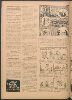 Apuntes del diario de un gnomo [Cómic]