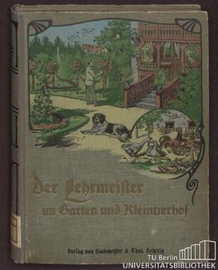 19: 1921. Jg. 19