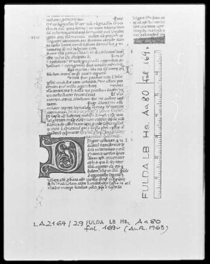 Biblia Latina — Initiale D, Folio 169verso
