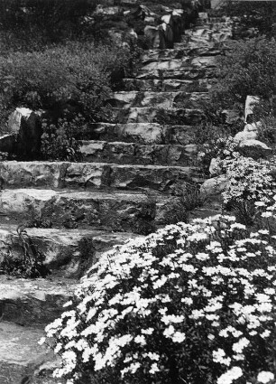 Treppe in einem Garten, vielleicht in einem Villengarten (wahrscheinlich in oder bei Nürnberg)