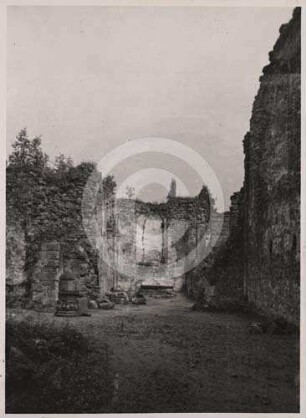 Kirchenruine Neukirch von W