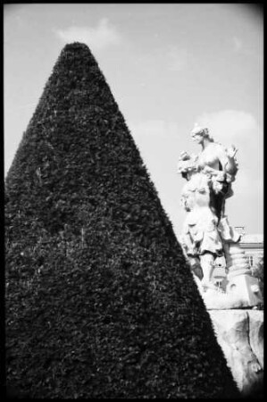 Salzburg: Mirabellpark, Allegorien, kämpfende Männer hinter Pyramidenbaum [Paris raubr Helena]