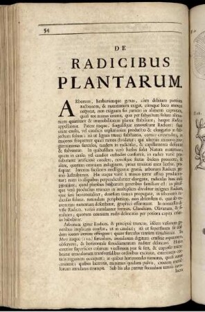 De Radicibus Plantarum.