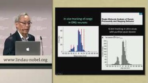 Recent Advances in Biomolecular and Biomedical Imaging