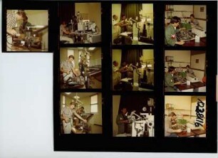 COOP, 1981