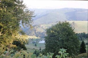 Schauinsland: Feldberg mit Schneehaube; vom Schauinsland