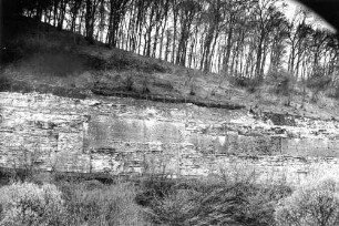 Neudenau Sanierung Stützmauer