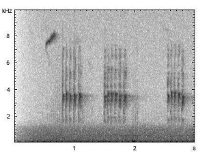 Haubenmeise | Lophophanes cristatus - Ruf