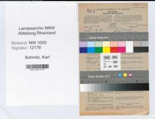Entnazifizierung Karl Schmitz, geb. 04.07.1906 (Bankangest.)