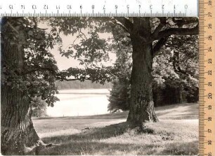Fotografie