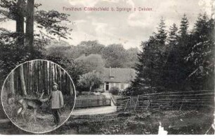 Forsthaus Cöllnischfeld Springe