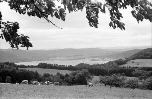 Überlingen, Haldenhof: Blick am Haldenhof auf Landschaft und See