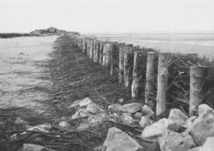 Minsener Oog/Nordsee