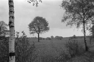 Zwischen Worpswede und OHZ